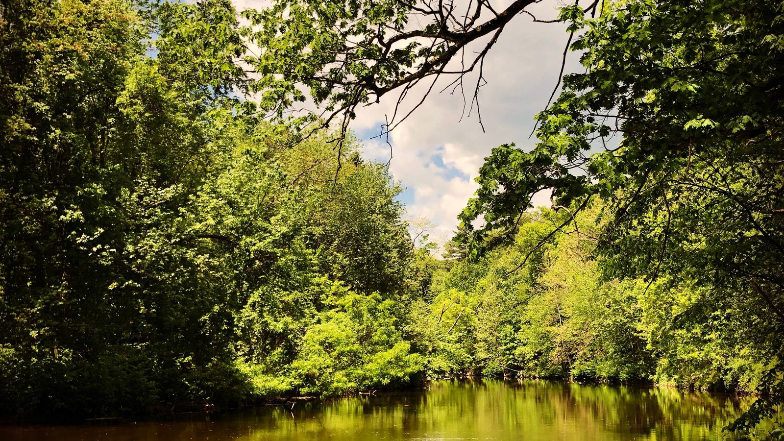 River landscape